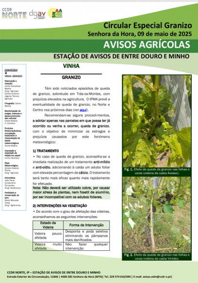 AVISOS AGR&Iacute;COLAS - ESTA&Ccedil;&Atilde;O DE AVISOS DE ENTRE DOURO E MINHO
