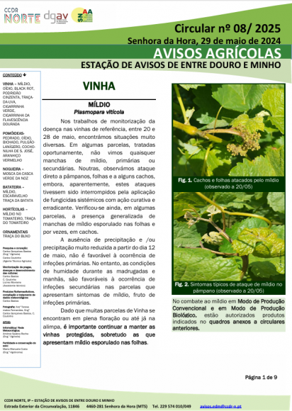 AVISOS AGR&Iacute;COLAS - ESTA&Ccedil;&Atilde;O DE AVISOS DE ENTRE DOURO E MINHO