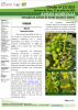 AVISOS AGRÍCOLAS - ESTAÇÃO DE AVISOS DE ENTRE DOURO E MINHO