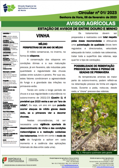 AVISOS AGR&Iacute;COLAS - ESTA&Ccedil;&Atilde;O DE AVISOS DE ENTRE DOURO E MINHO