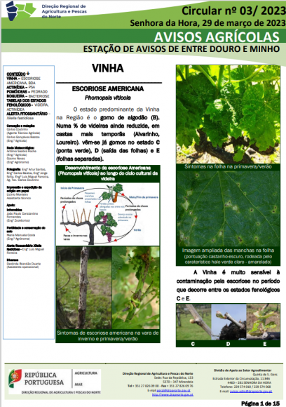 AVISOS AGR&Iacute;COLAS - ESTA&Ccedil;&Atilde;O DE AVISOS DE ENTRE DOURO E MINHO