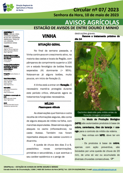 AVISOS AGR&Iacute;COLAS - ESTA&Ccedil;&Atilde;O DE AVISOS DE ENTRE DOURO E MINHO