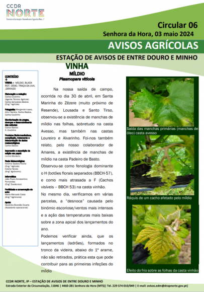 AVISOS AGR&Iacute;COLAS - ESTA&Ccedil;&Atilde;O DE AVISOS DE ENTRE DOURO E MINHO