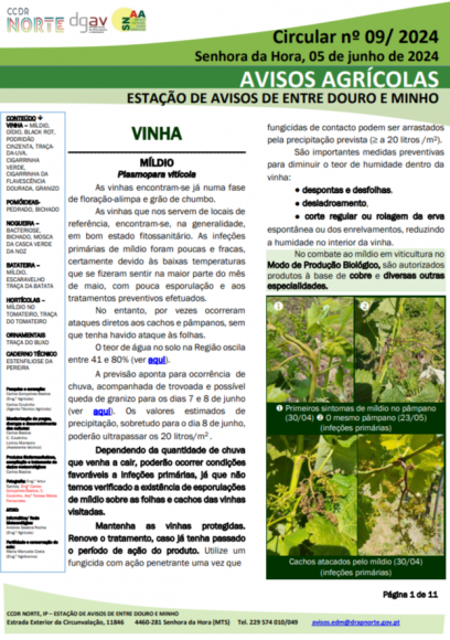 AVISOS AGR&Iacute;COLAS - ESTA&Ccedil;&Atilde;O DE AVISOS DE ENTRE DOURO E MINHO